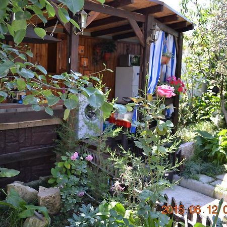 U Palycha Guest House Soukhoumi Extérieur photo