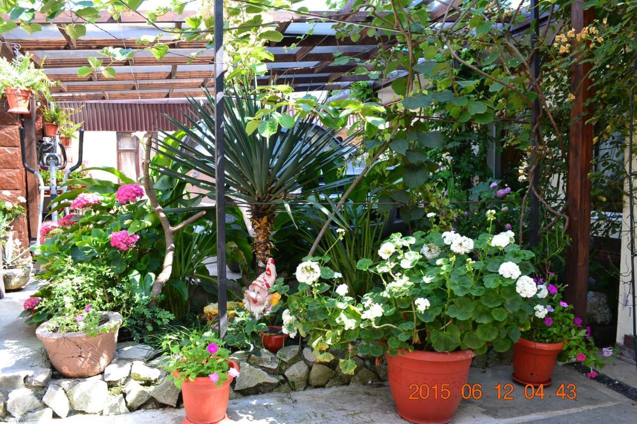 U Palycha Guest House Soukhoumi Extérieur photo