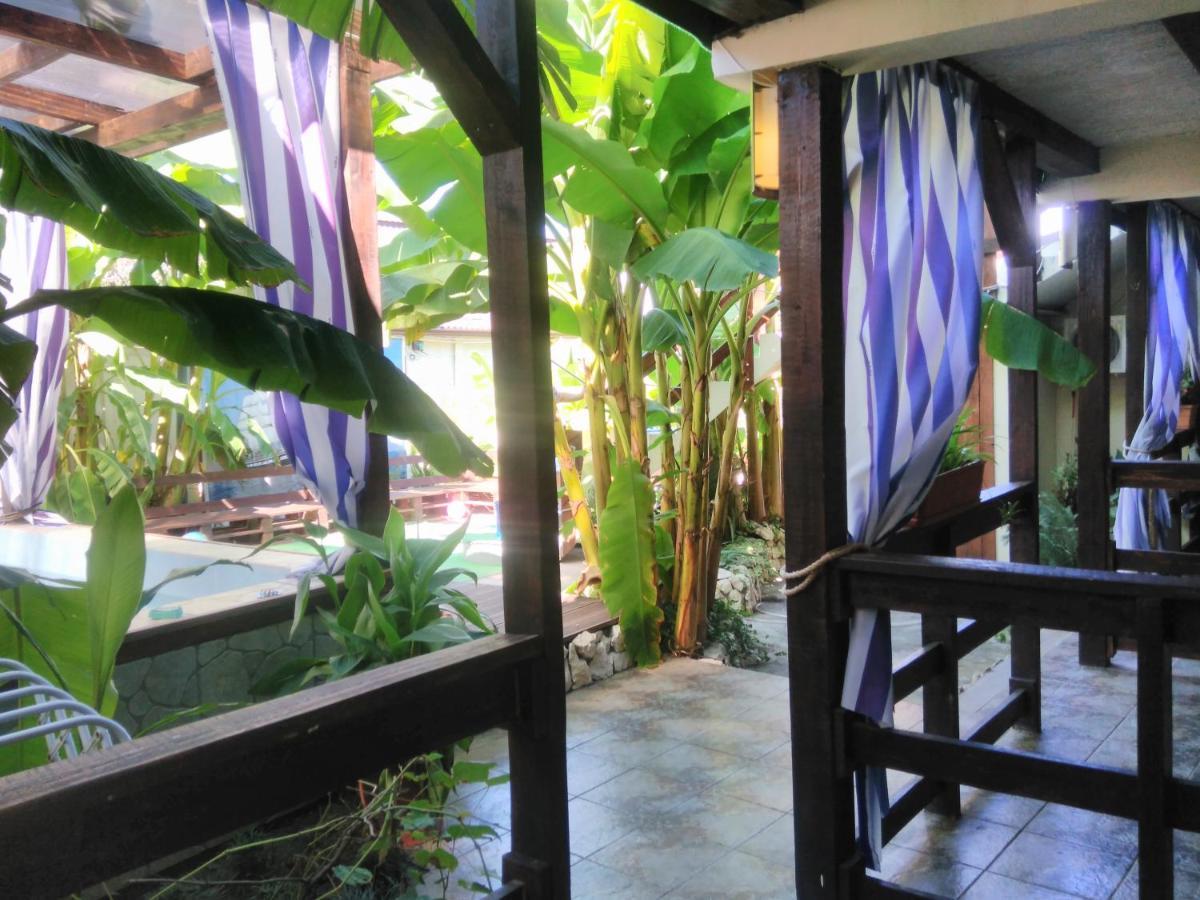 U Palycha Guest House Soukhoumi Extérieur photo