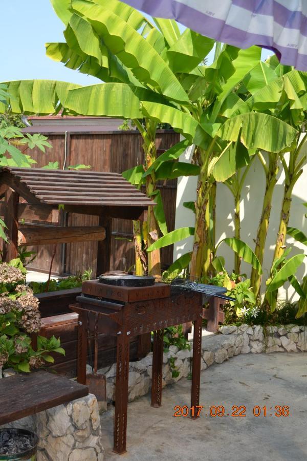 U Palycha Guest House Soukhoumi Extérieur photo